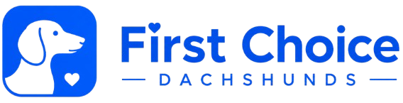 First Choice Dachshunds