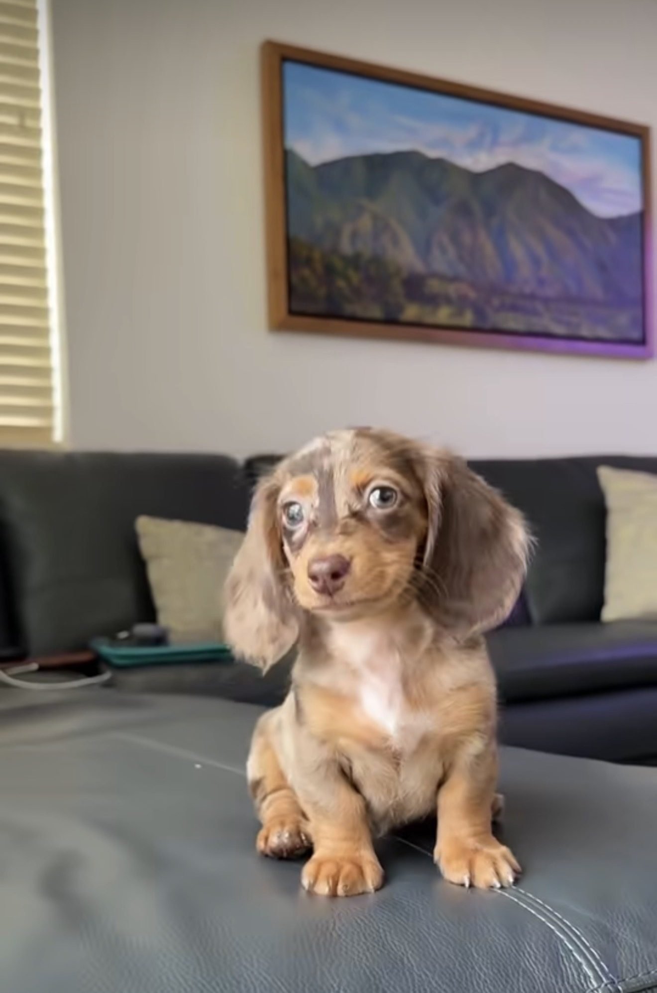 Lola