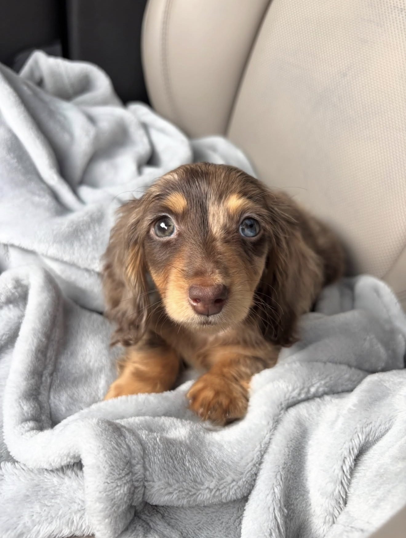 Tilly