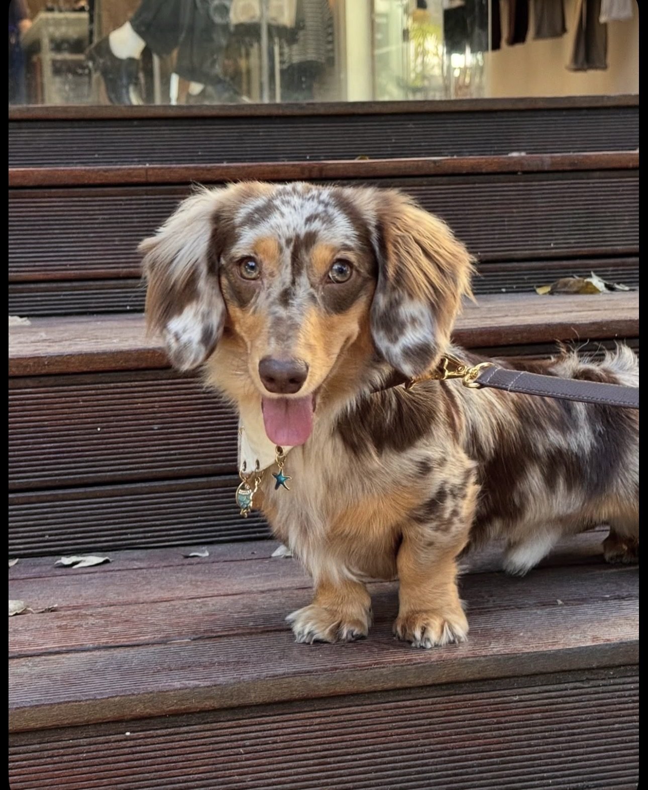 Max