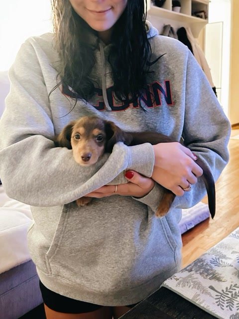 Sherry perry.'s puppy